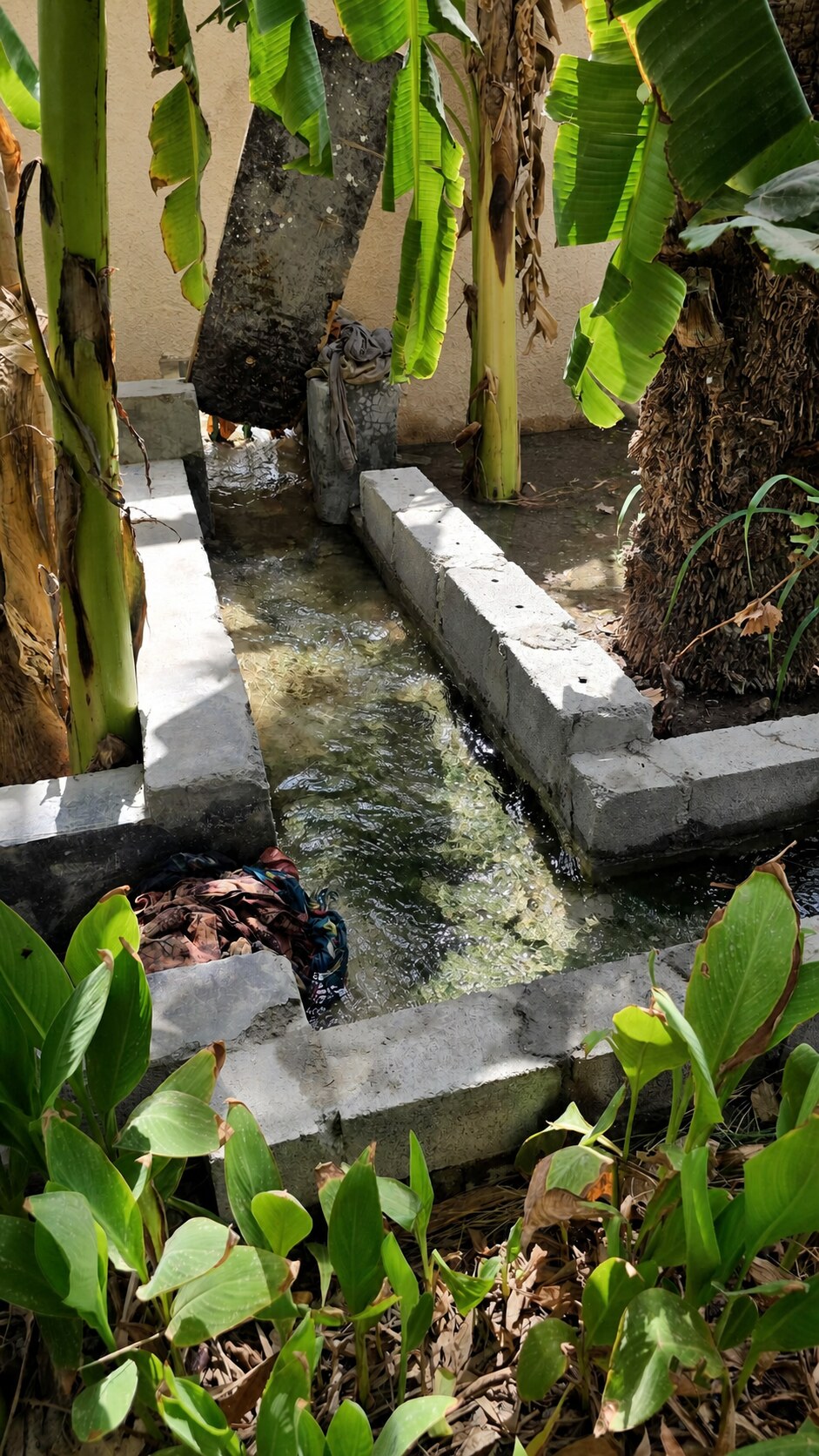 Al Asalah · Samail